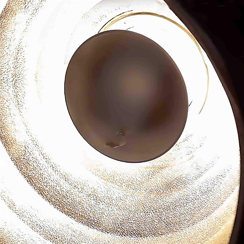 Elinchrom Deflector mounted in reflector