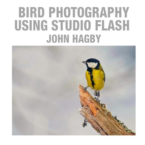 Bird Photography with Flash